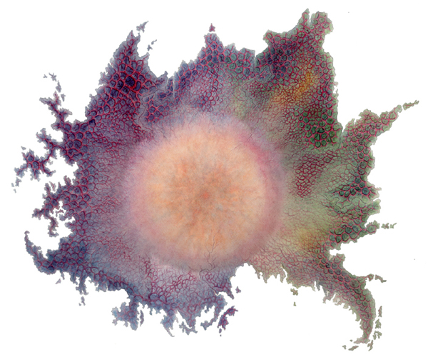 aquarelle carte georganique 2