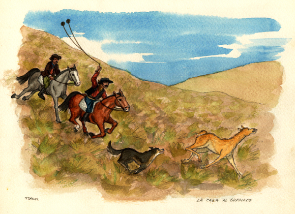 aquarelle la chasse au guanaco